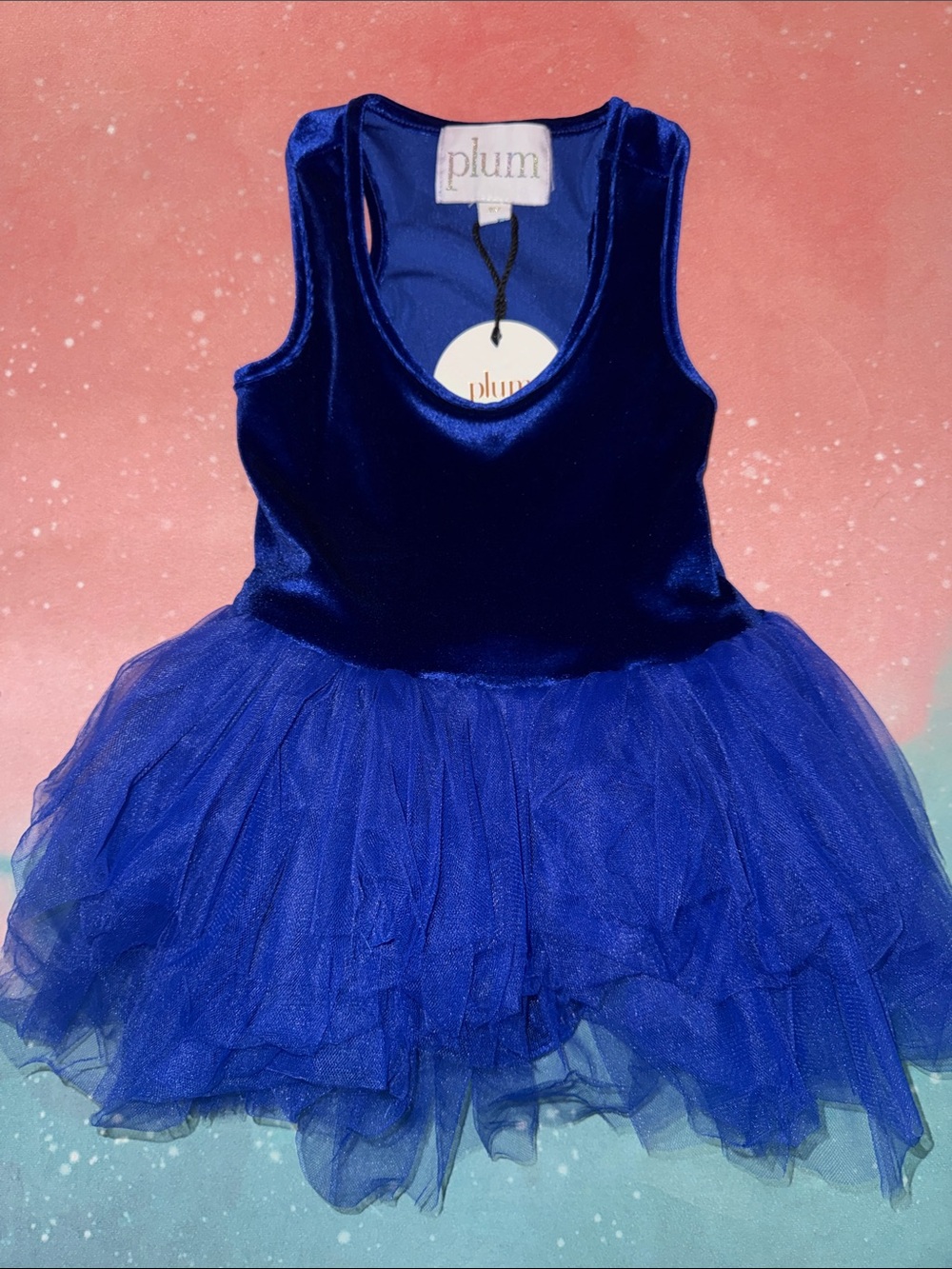 Plum NYC Royal Blue Velvet Tutu Dress for Kids 2 t NWT-